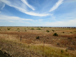  [Mile 316] Plenty of range land for sale. No thanks — in Washington.